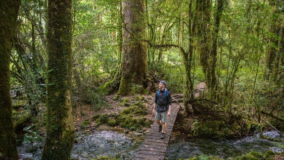 Volunteering Patagonia