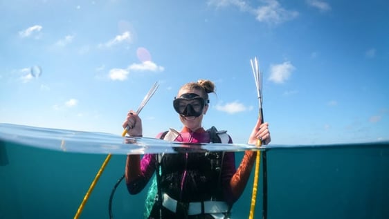 Volunteer on our Caribbean island off the coast of Belize! 