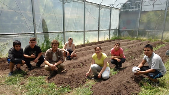 Working in the greenhouse.