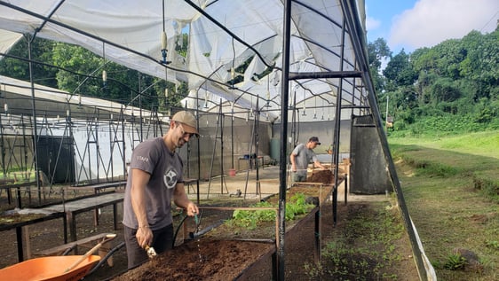 Volunteer at the endemic plant spsecies nursery