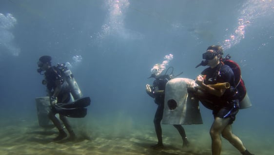 Volunteer in marine conservation - see the wonders of the oceans! 