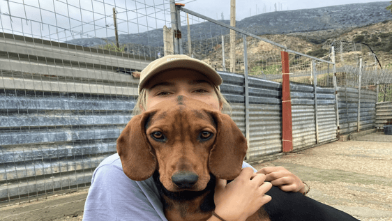 rescue dog shelter Greece