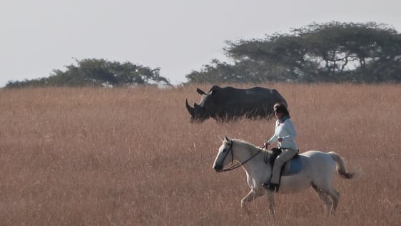 Horseback volunteers