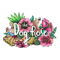 Dog Rose Redefined Dog shelter