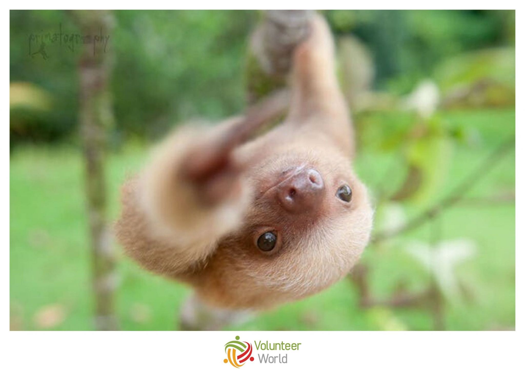 Volunteer Costa Rica