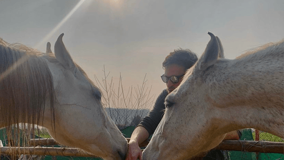 Spend time connecting with horses 