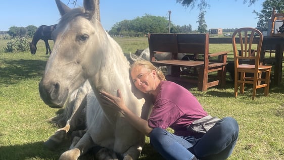 Volunteer with a horse, organic farm