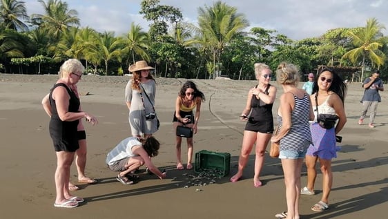 Volunteers on Pacific and Caribean side of Costa Rica