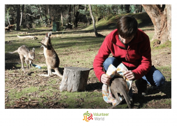 Volunteer Australian Bushfire