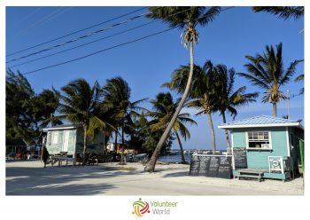 belize alternative spring break