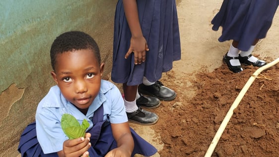 Environmental program -  Tree planting