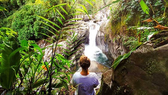 One of our volunteers in the middle of the cloudforest