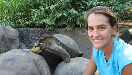 Volunteer with tortoise