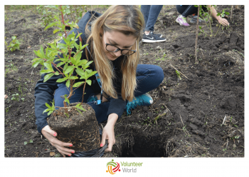 planting trees on alternative travel