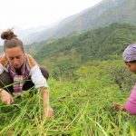 Aggriculture-min