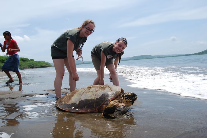 Sea Turtle Conservation Assistance | Volunteer in Nicaragua 2026