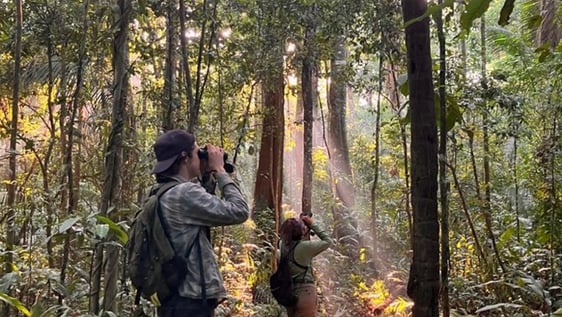 our volunteers monitoring wildlife