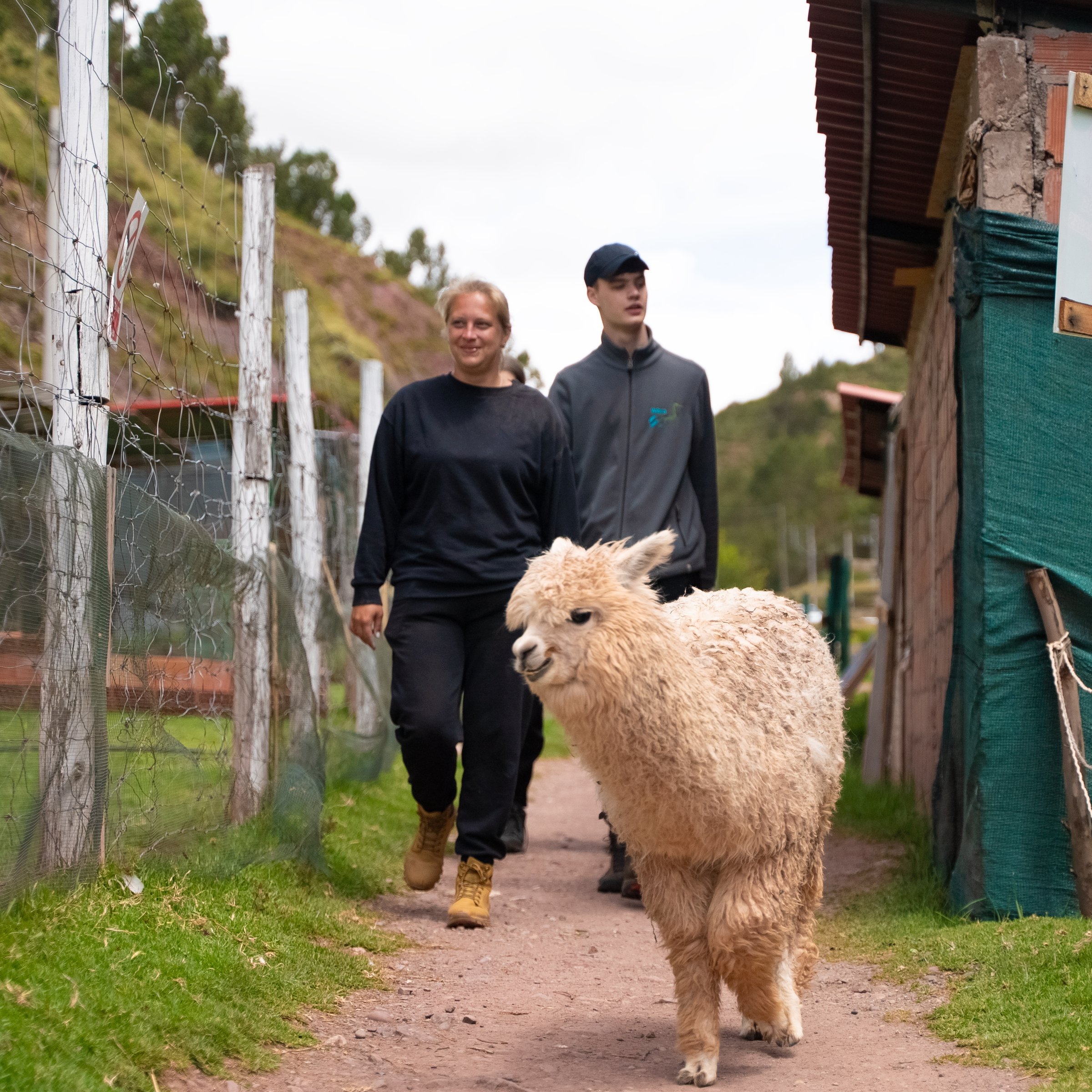 Peru Wildlife Rescue Volunteers | Voluntariado en Perú 2026