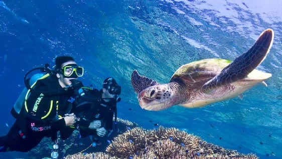 Marine conservation volunteers in Australia