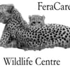 project-logo