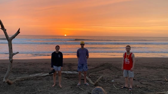 Sea Turtles Protectors