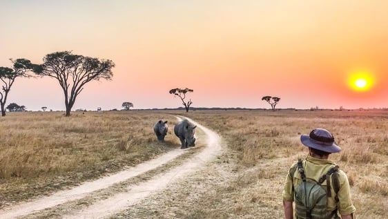 Tracking endangered species