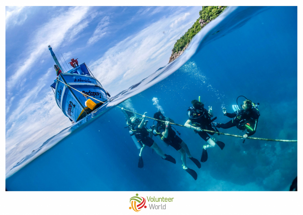belize diving volunteers in november