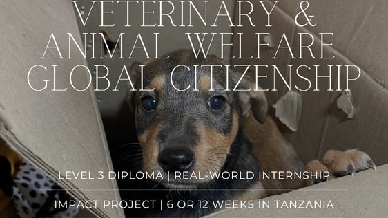 Animal Welfare Global Citizenship Diploma