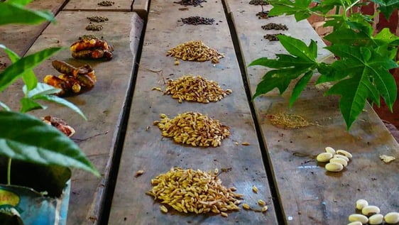 Fighting Aids with nutrition