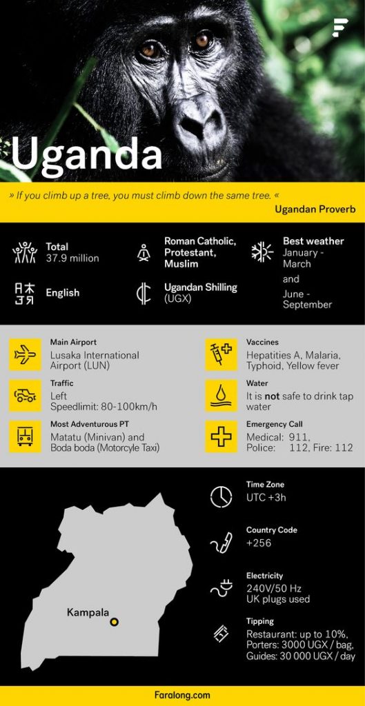volunteer in uganda facts