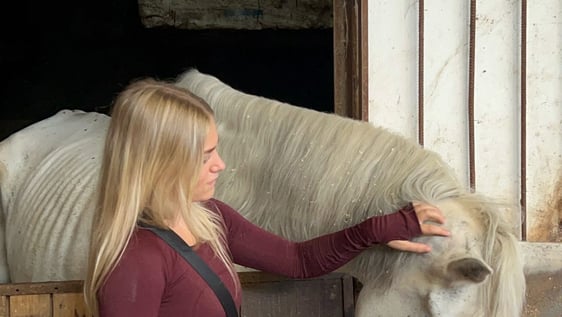 International volunteer petting a horse.