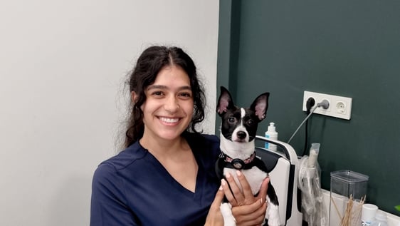 Veterinary Shadowing in Wroclaw