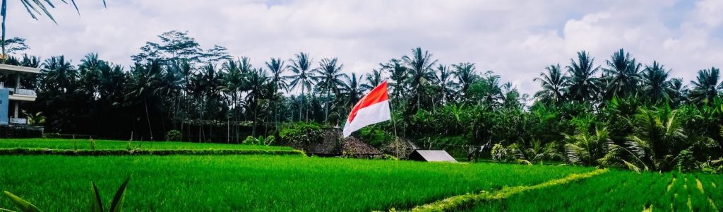 volunteer in asia