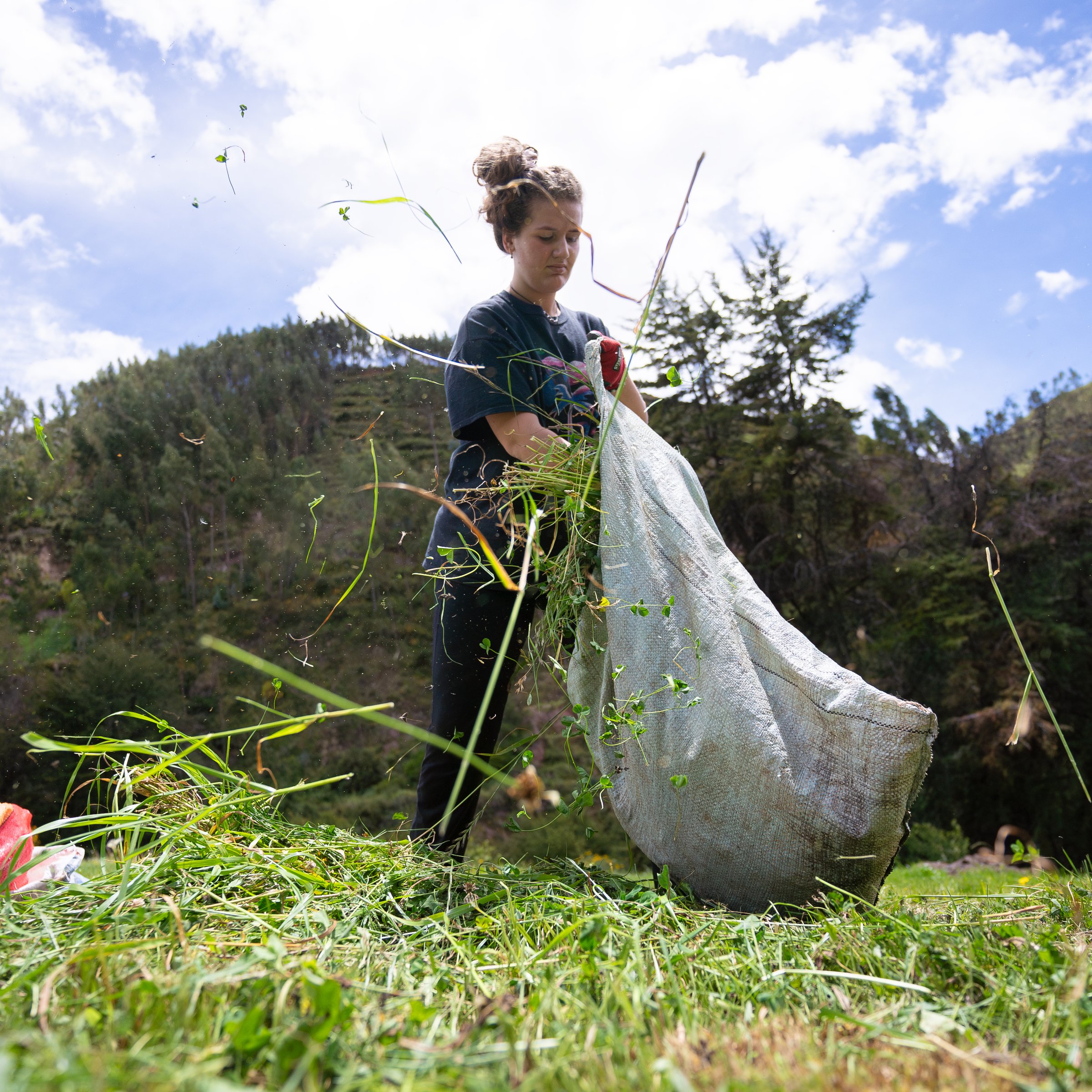 Peru Wildlife Rescue Volunteers | Volunteer in Peru 2026