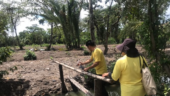 Volunteer English with Farming too