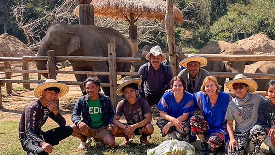IVHQ volunteers in action with Elephants in Chiang Mai