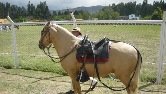El paso peruano