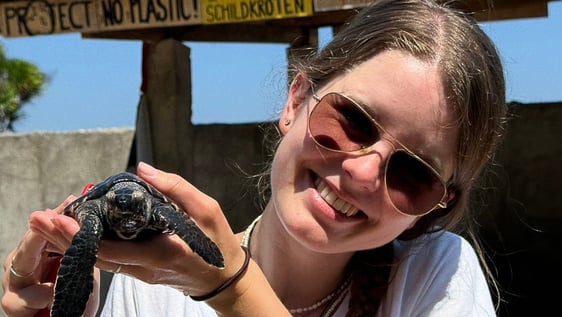 holding baby turtle