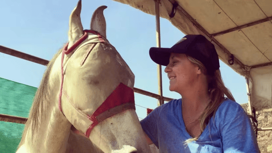 Learn to bond with horses & get certified in natural horsemanship. 