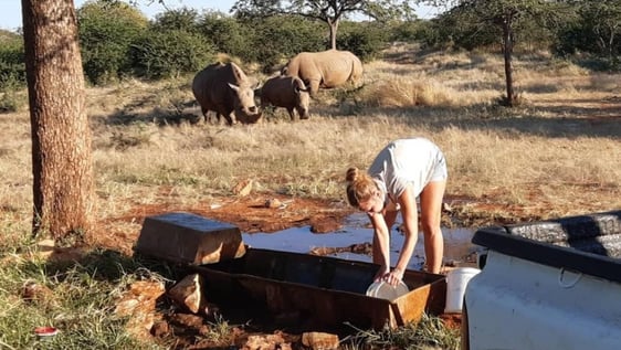 Our volunteers cleaning a rhino water trough