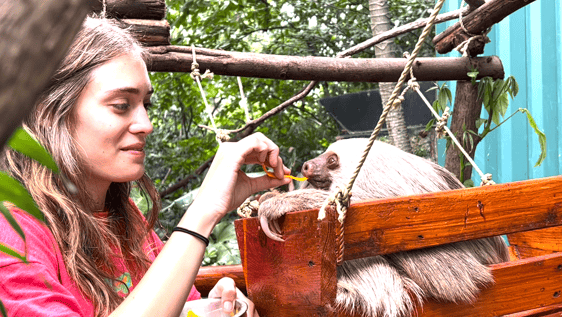 Hand feeding is one of the main activities for animals that are in the Educational Program.