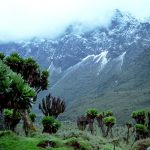 volunteer in uganda Rwenzori