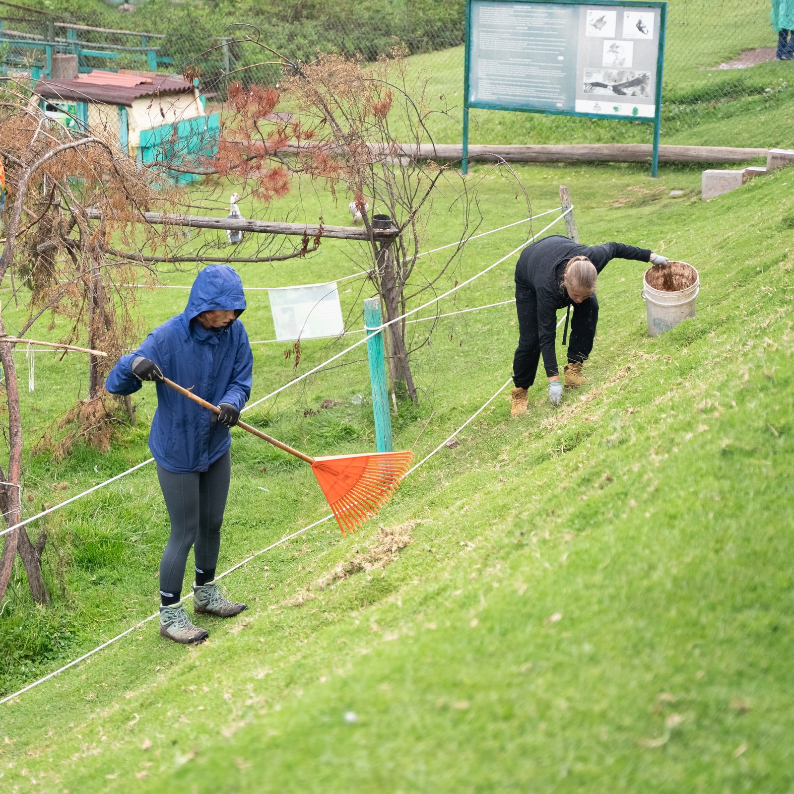 Peru Wildlife Rescue Volunteers | Volunteer in Peru 2026