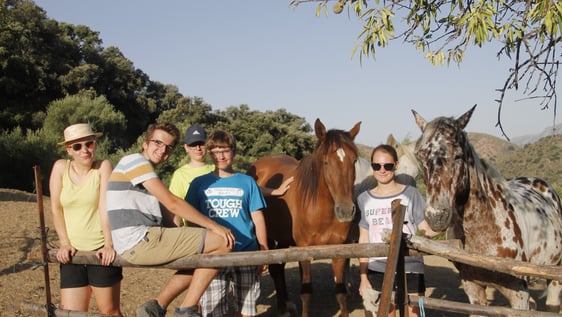 Beautiful Views Around the Horses