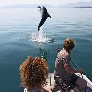 Volunteer in Marine Life | Programs, Guidance & Reviews