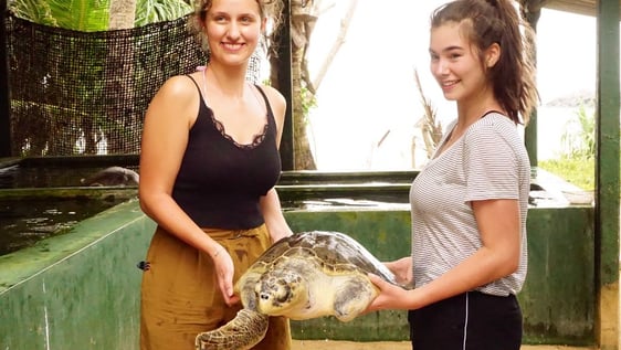 volunteers holding turtle