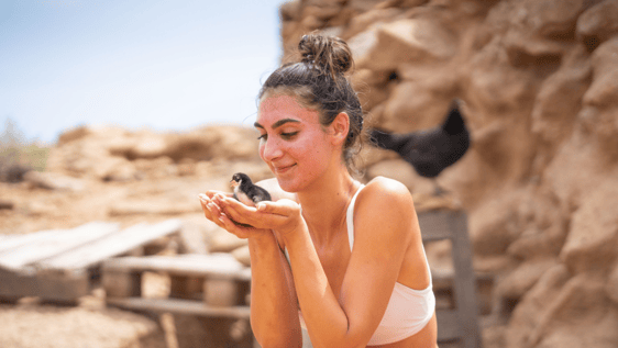 A photo of a volunteer with a baby chicken.