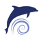 Dauphins de Rangiroa (DDR)