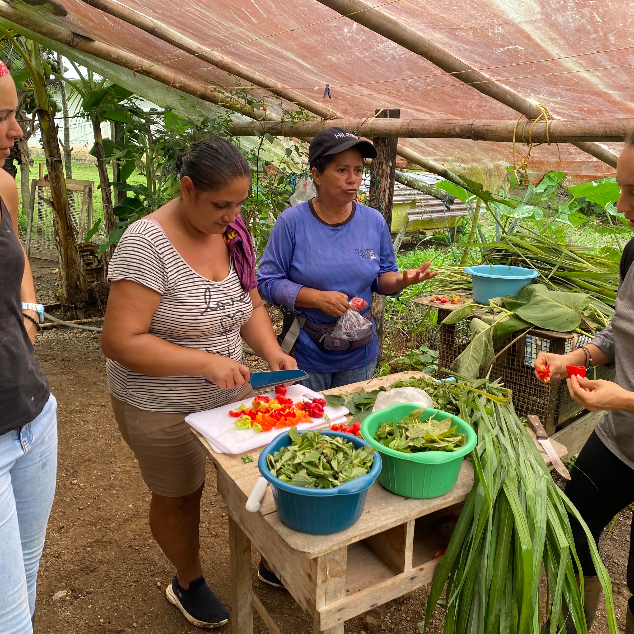 Community Environmentalist | Volunteer in Costa Rica 2026