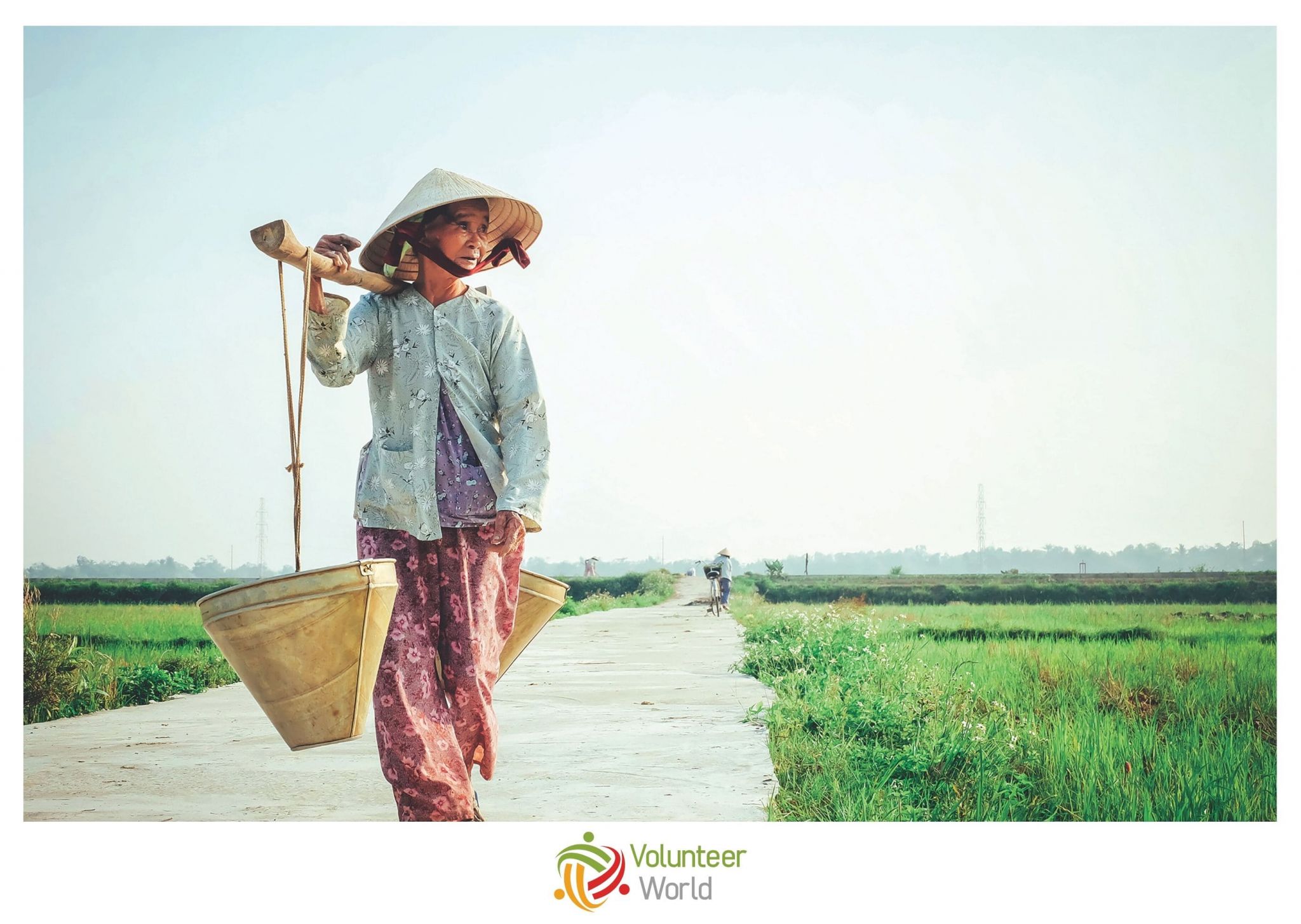 Volunteer Vietnam